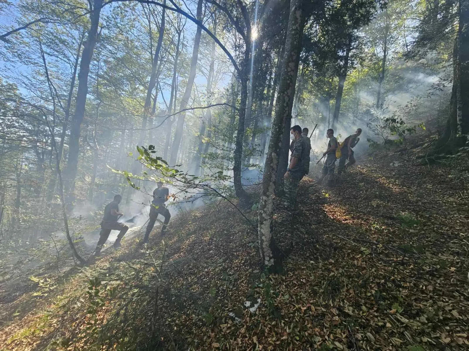 OSBiH, helikopter, požar, gašenje, Bihać, Oružane snage BiH