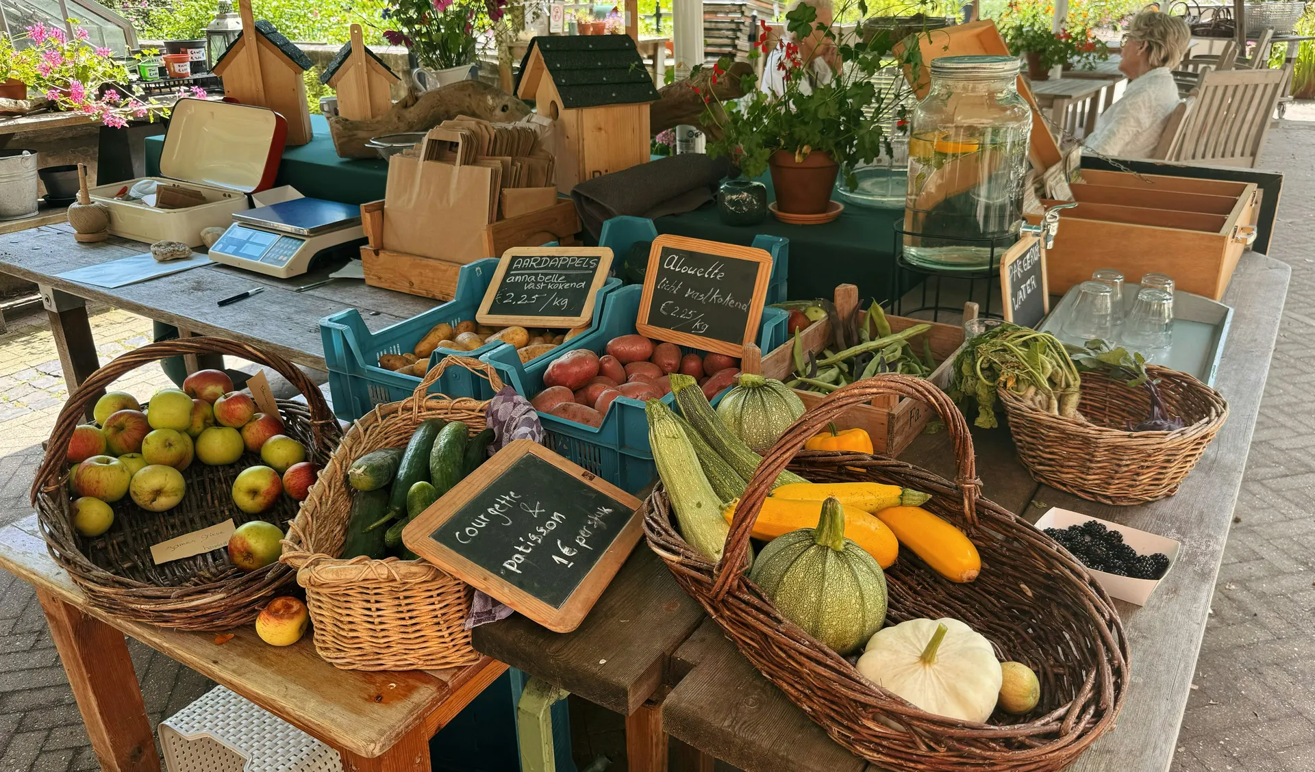 Pet vrsta povrća koje vrijedi jesti ove jeseni, prepune su vlakana