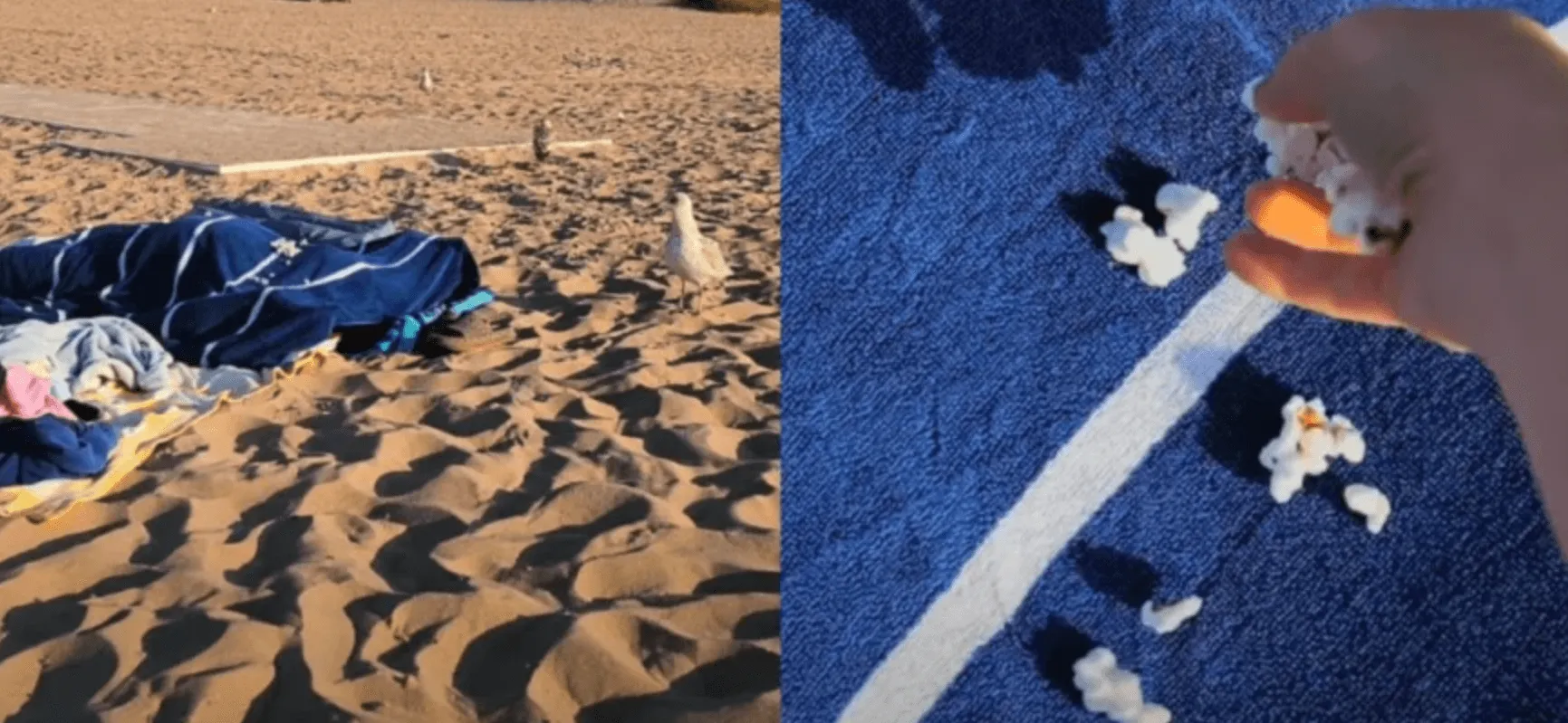 Turisti pronašli novi način zabave na plaži, snimci izazvali bijes