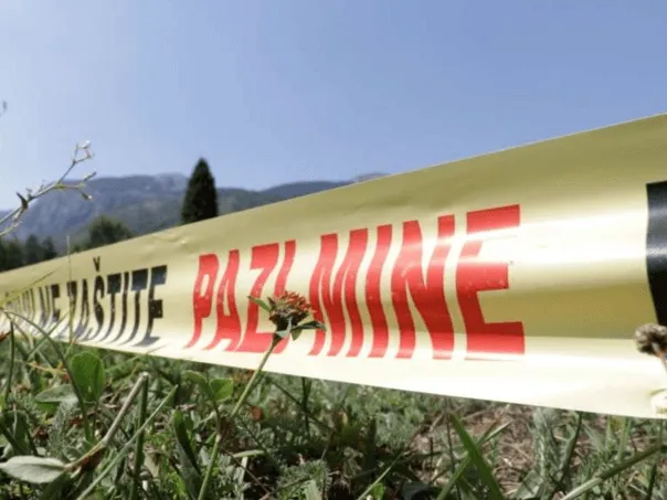 Desetak ovaca stradalo u minskom polju kod Bugojna, ljudskih žrtava nije bilo