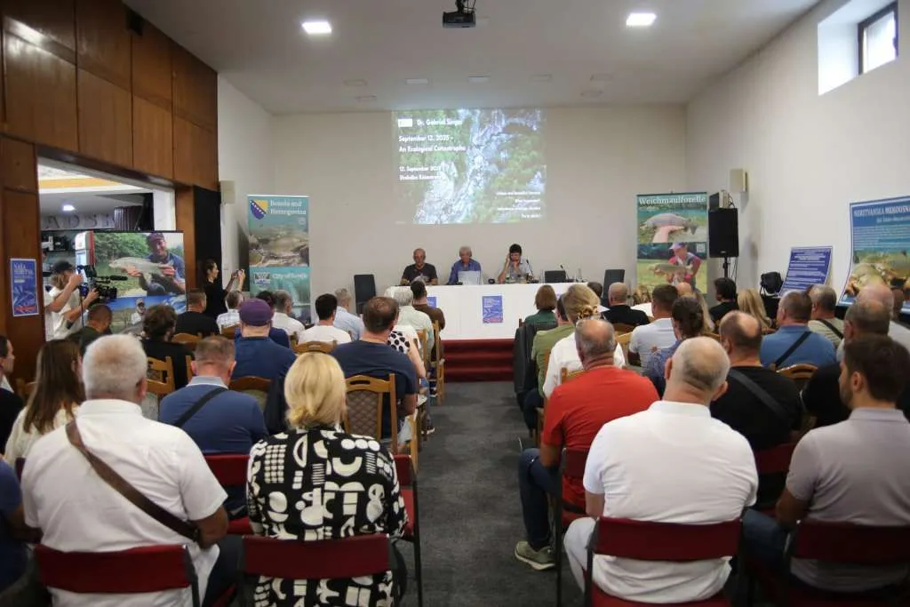 Stručnjaci povezali rad HE Ulog s prošlogodišnjim pomorom ribe