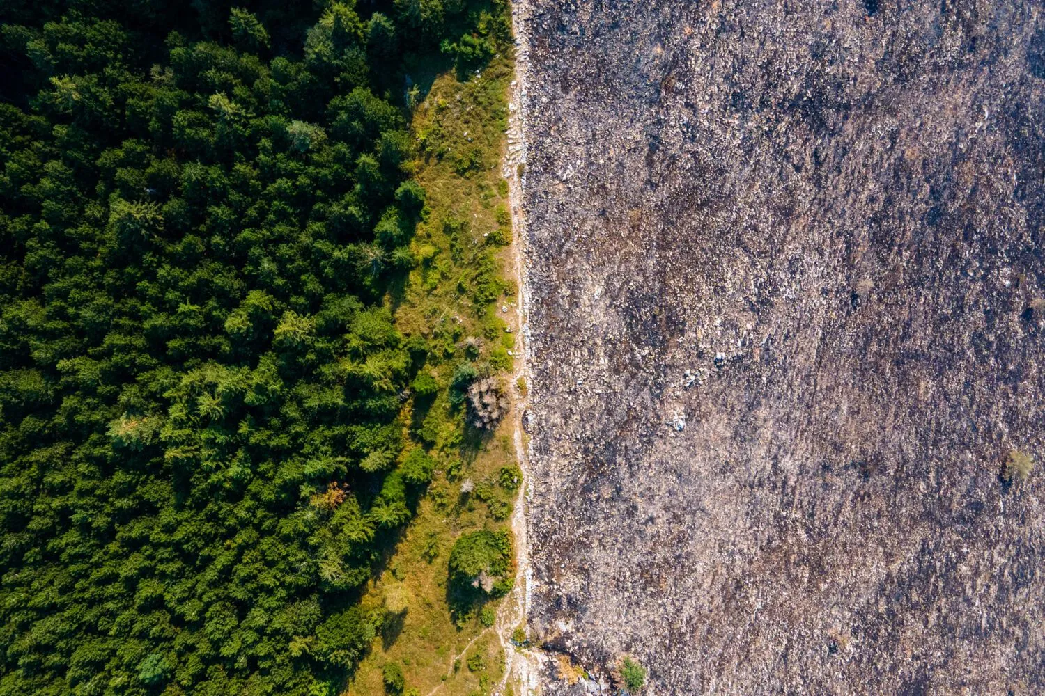 Posljedice požara na Trebeviću