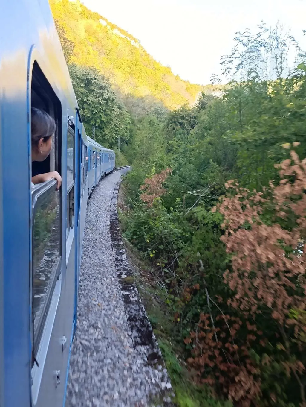 Tragedija kod Zenice: Radnik poginuo nakon teške povrede tokom čišćenja pruge