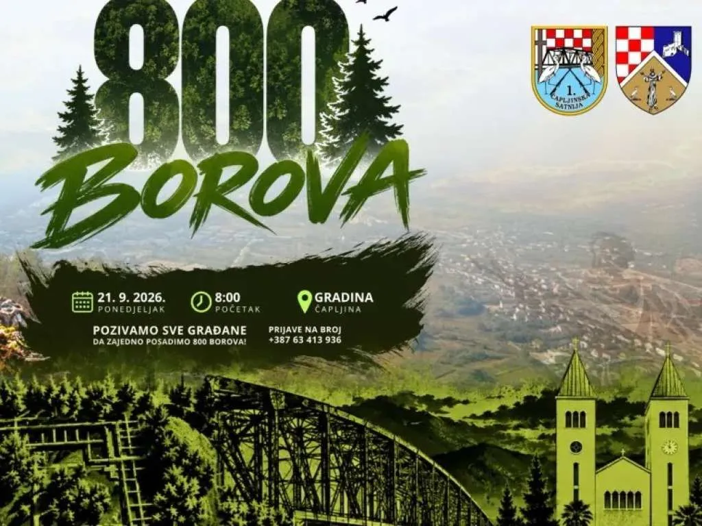 Na Gradini iznad Čapljine niče nova šuma, bit će posađeno 800 borova
