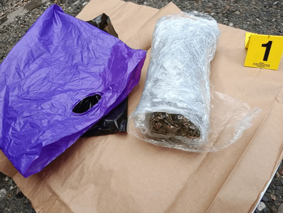 U akciji „Trener“ oduzeta četiri kilograma marihuane i hašiš