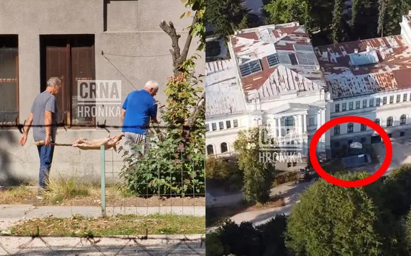 Muškarci u Botaničkoj bašti Zemaljskoj muzeja BiH okretali prase na ražnju?