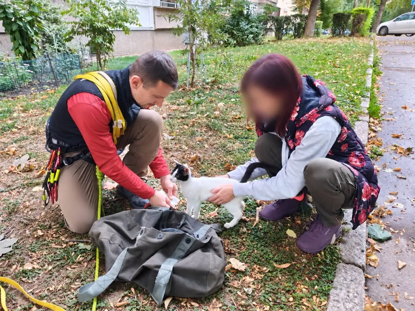 Maca tri dana nije mogla sići s drveta, onda su stigli spasioci iz Zenice