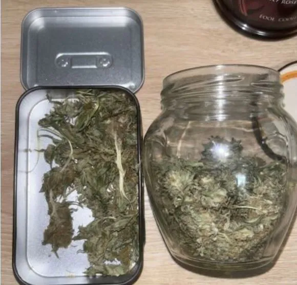 Pretres u BiH, 24-godišnja djevojka držala kanabis u tegli u stanu