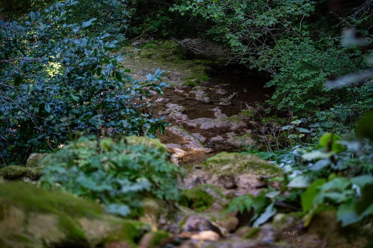 Vrelo Miljacke: Suša izmijenila izgled omiljenog izletišta