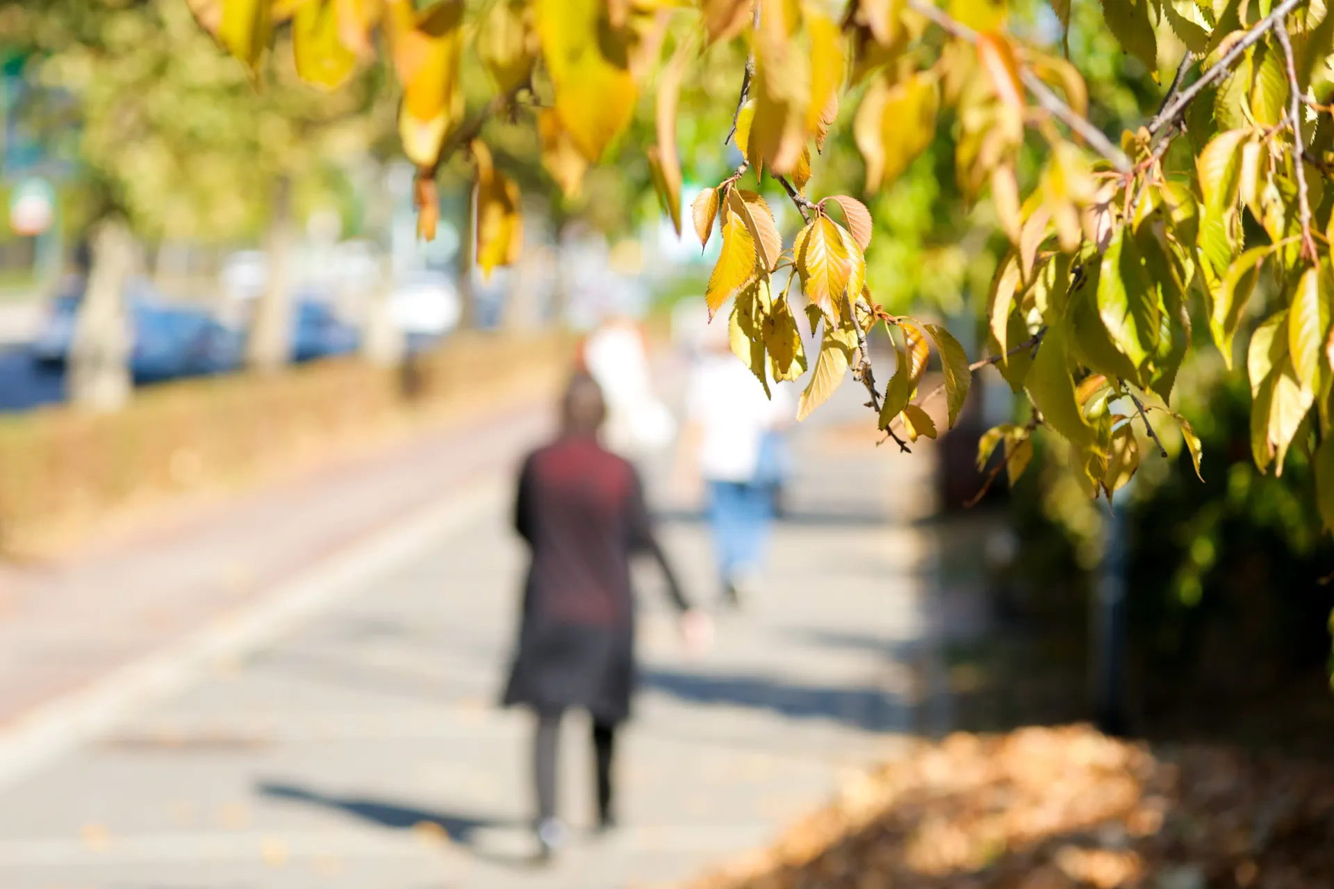 Nakon svježeg jutra stiže topao dan, temperature do 29 stepeni