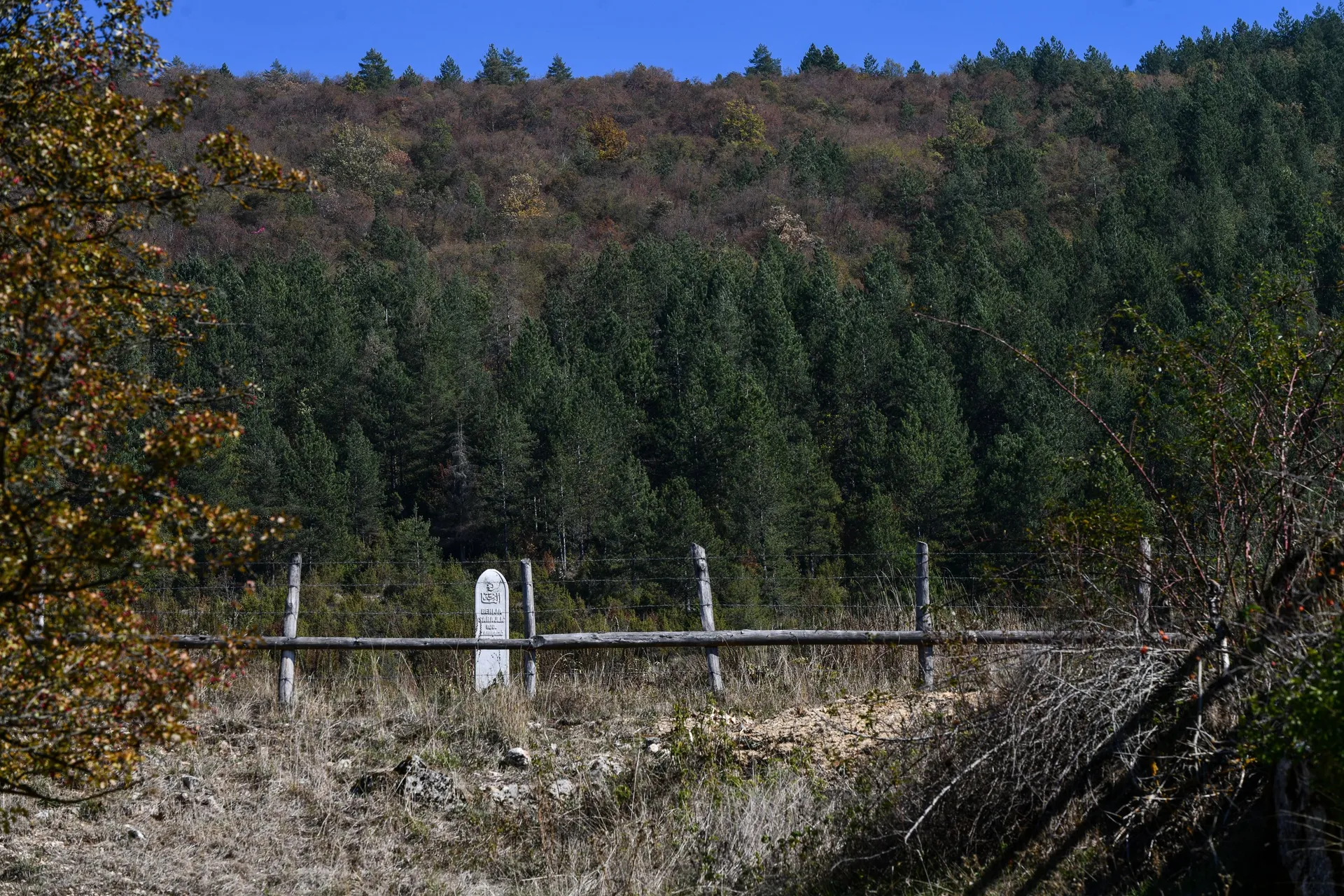 Selo Knežina