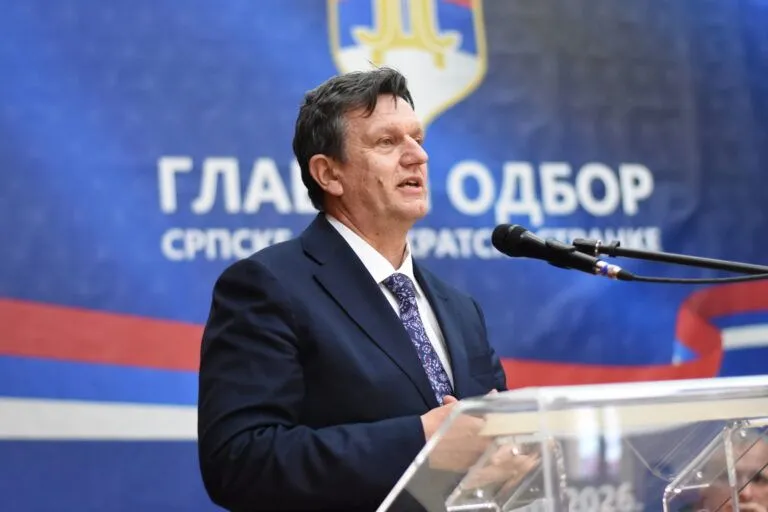Blanuša najavio "otvorene razgovore", SDS sprema analizu izbornih rezultata