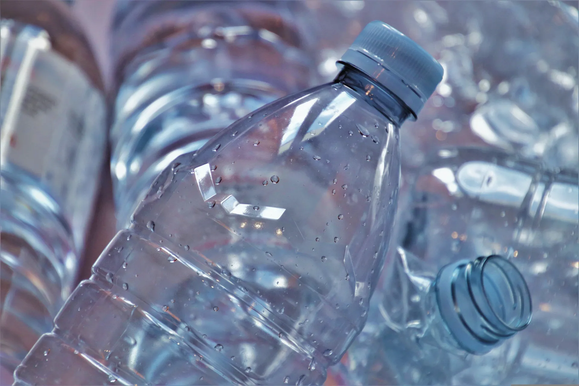 Ne bacajte plastične flaše, mogu zaštititi mlade voćke tokom zime