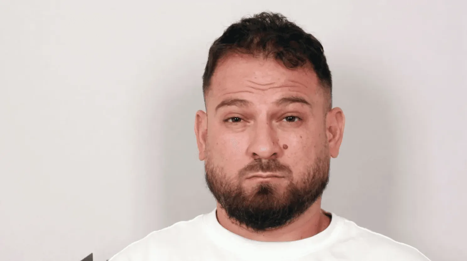 Bh. državljanin pobjegao iz pritvora u Sloveniji, optužen za krađu 83.690 eura