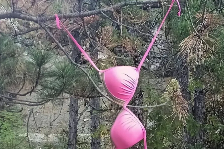 Donji veš razapet na drveću u Sandžaku, mještani sumnjaju na "sektaški čin"