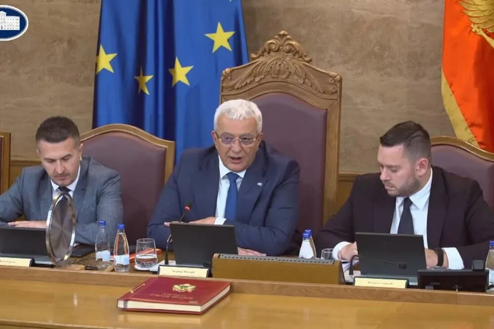 Evropski savez: Mandić još jednom ponizio PES, zajedno podržali Ratka Mladića