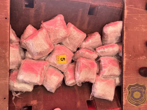 FUP objavio detalje velike akcije u Hercegovini, "palo" čak 100 kilograma droge